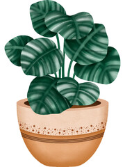 comic potted plant illustration