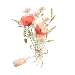 Watercolor wild flower bouquet with red poppies, field herb and chamomile, isolated on white background. Good for cosmetics, medicine, treating, aromatherapy, nursing, package, postcards.