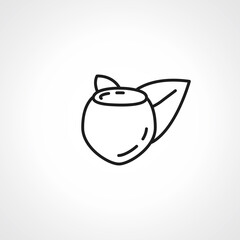 Hazel nut line icon. Hazel nut web linear icon.