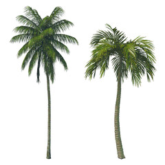 Isolated palm trees as retro magazine cut-out collage elements on transparent background