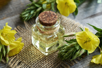 Obraz na płótnie Canvas Evening primrose oil in a glass bottle