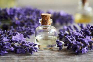 A transparent bottle of essential oil with fresh blooming lavender