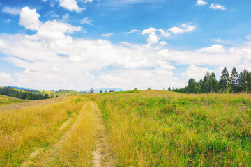 Obraz premium lane through grassy meadow. green hills rolling in to the distance. blue sky above the distant mountain ridge on the horizon. rural tourism in summer. explore countryside of ukraine