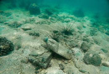 Garbage plastic bottles and glasses are pollution environment problem with animal wide life under...