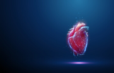 Abstract low poly red human heart. Heart anatomy.
