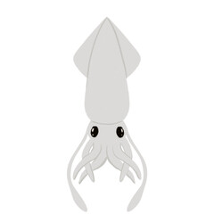 Squid 