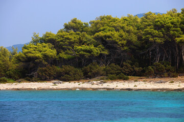 Beautiful wild beach on Proizd, tiny island in southern Croatia.