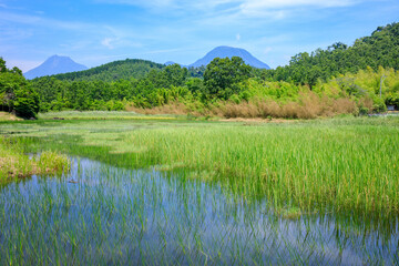 初夏の神楽女湖　大分県別府市　Lake Kagurameko in early summer. Ooita Pref, Beppu City.