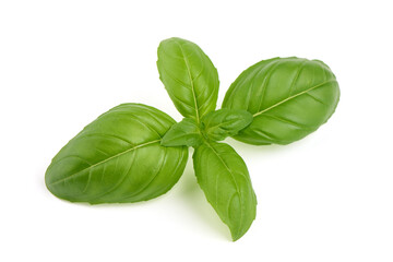 Basil leaves, close-up, isolated on white background.