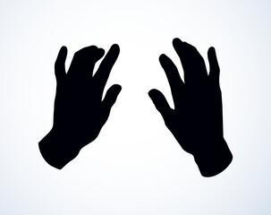 Hands on the keyboard. Vector drawing