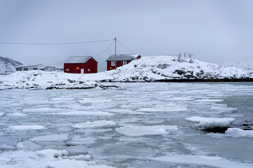 snowy day in norway tromso