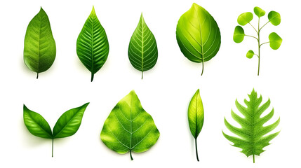 Set of green leaves of different trees, generative AI.
