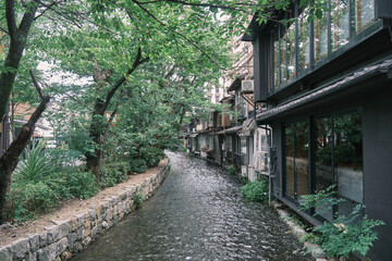 Fototapeta premium kyoto
