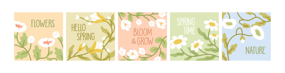 Floral square cards set. Cute nature postcard templates with spring blooming flowers and leaves. Minimal botanical background designs with field plants, wildflowers. Colored flat vector illustrations