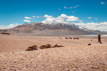 Fototapeta na wymiar Atacama Desert - San Pedro de Atacama - Chile