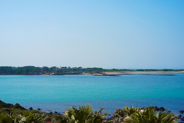 Fototapeta premium Jeju Island summer sea seen from afar