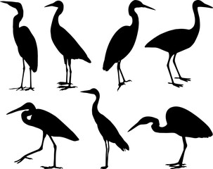 Fototapeta premium Set of Egret Birds Silhouette