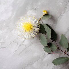 Blooming Flowers on marble background with copy space