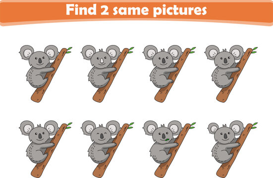 Funny cartoon koala. Find two same pictures. Educational game for children. Cartoon vector illustration