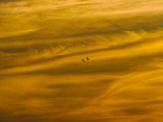 Abendlicher Wolkenhimmel
