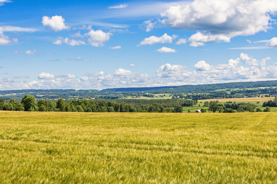 View at the countryside by a field with crops