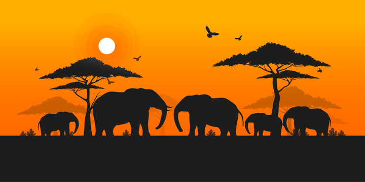 World elephant day, Silhouette of Elephants family in sunset, Wildlife and Nature, Grassland safari, Environmental conservation, National park, Think green nature, Save the planet and the wildlife. - Powered by Adobe