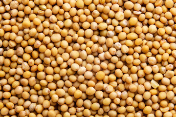 Mustard grains background. Top view