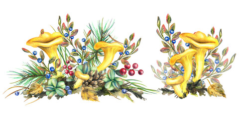 Forest chanterelle mushrooms with blueberry bushes, moss and autumn leaves. Watercolor illustration, hand drawn. A set solated compositions on a white background. © NATASHA-CHU