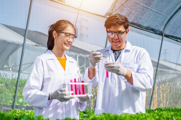 agriculture, nature, growth, science, researcher, eco, chemical, laboratory, farming, organic. hands of researcher hold a test tube for check result research and testing biotechnology to harvest.