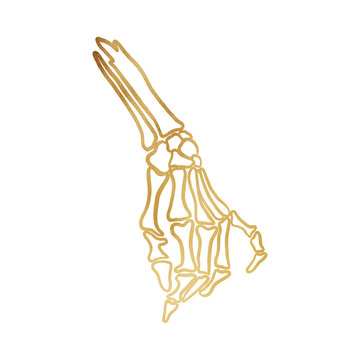 Gold Skeleton Hand Outline