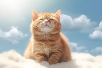 Plexiglas schilderij  happy ginger cat sitting on a heavenly cloud, made with generative ai  © Stock'd 
