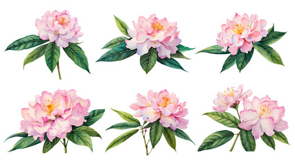 Watercolor rhododendron set. Generative Ai