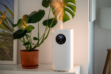 Modern humidifier at home, moistens dry air surrounded by indoor Monstera houseplant. Humidification, plant care, comfortable living conditions concept. Diffuser, apartment with moisturizer