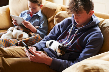 Boys using digital tablet and cell phone with puppies sleeping in laps
