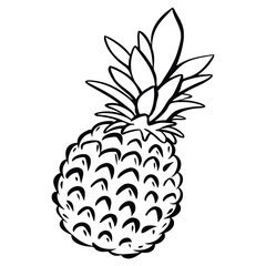 pineapple fruits vector illustration