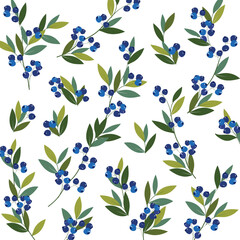 Blueberry seamless graphic pattern. Set of romantic pattern with ripe blueberries and leaves on white isolated background. Greeting card or invitation design