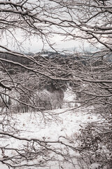 Góry w śniegu © Kath