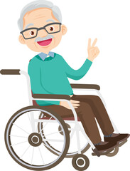 senior,old people, elderly in wheelchair patient and nursing