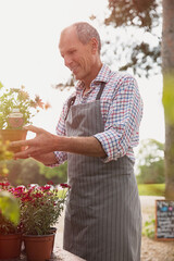 Smiling plant nursery worker holding potted flowers