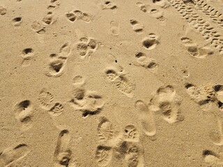 Fototapeta na wymiar pé na areia de praia