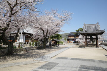 尾道（広島県 尾道市）
