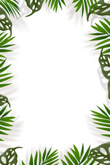 Fototapeta na wymiar Summer Background,Palm Leaves with Shadow border, Tropical Coconut leaf frame with copy space, top view vertical backdrop background for Summer,Sale,Promotion,web banner