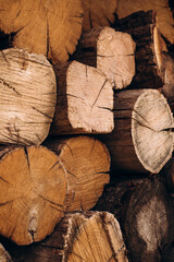 Natural wooden textured background. Large old logs with scuffs and cracks are stacked. Side view