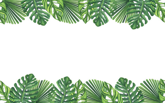 Seamless banner frame green palm leaves. Monstera Likuala Jungle tropical exotic foliage. Hand-drawn watercolor illustration isolated on white backgroun