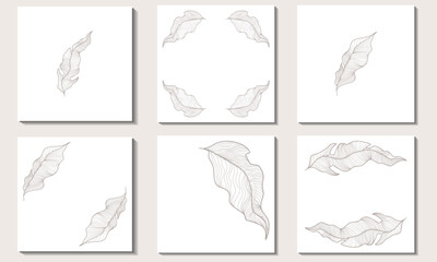 Fototapeta na wymiar Set of square backgrounds with exotic leaves. Outline drawing of long and wide leaves with veins.