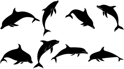 silhouette of collection of shark 
