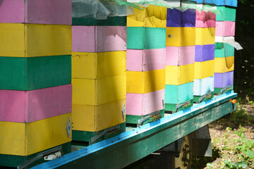 Colorful wooden beehives as a concept of organic honey production. Colorful beekeeping and Apiary Concept