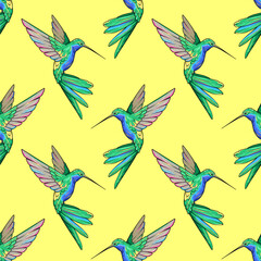 Obraz premium Hummingbird, colibri bird seamless pattern, background