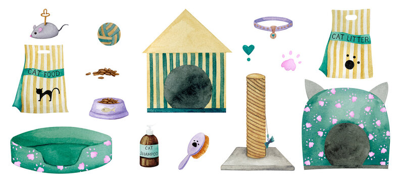 A set of accessories for a cat and a dog. Watercolor elements on the theme of pet care, goods for a pet store.