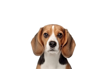 Beagle dog transparent background, PNG ,Generative AI
